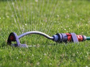 Für die richtige Rasenpflege den Rasen bei Trockenheit wässern