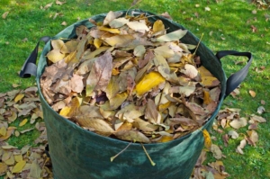 Gartensack mit Laub gefüllt (depositphotos.com)